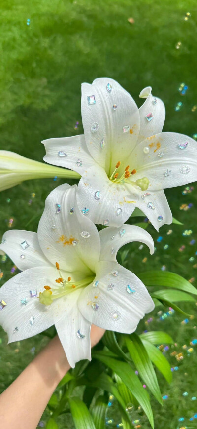 高清壁纸｜搬运网络 侵删
