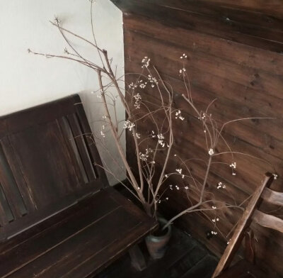 棕色系