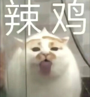 猫猫表情包