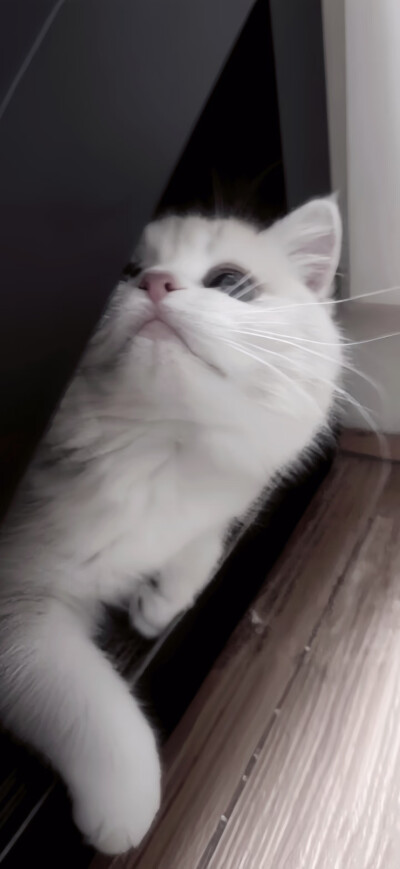 /