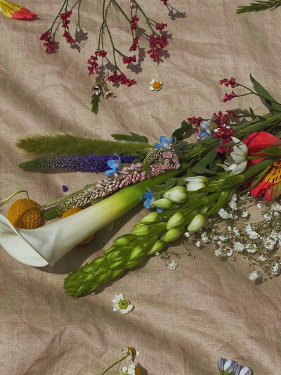 日常
芦苇荡