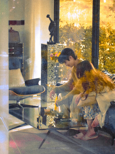 龙麦