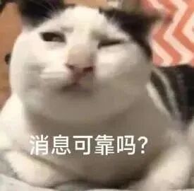 猫猫表情包