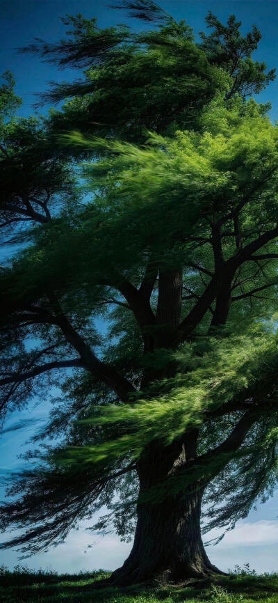 高清壁纸｜搬运网络 侵删