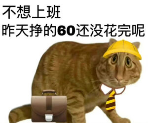 猫猫表情包