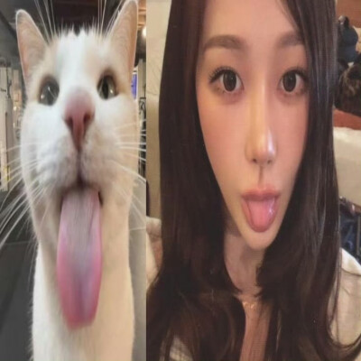 ᆼᆽᆼ