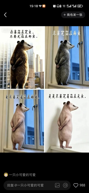 负鼠表情包