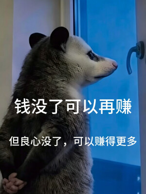 负鼠表情包