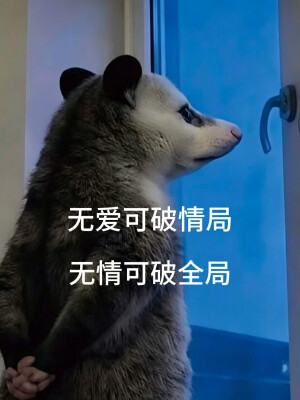 负鼠表情包