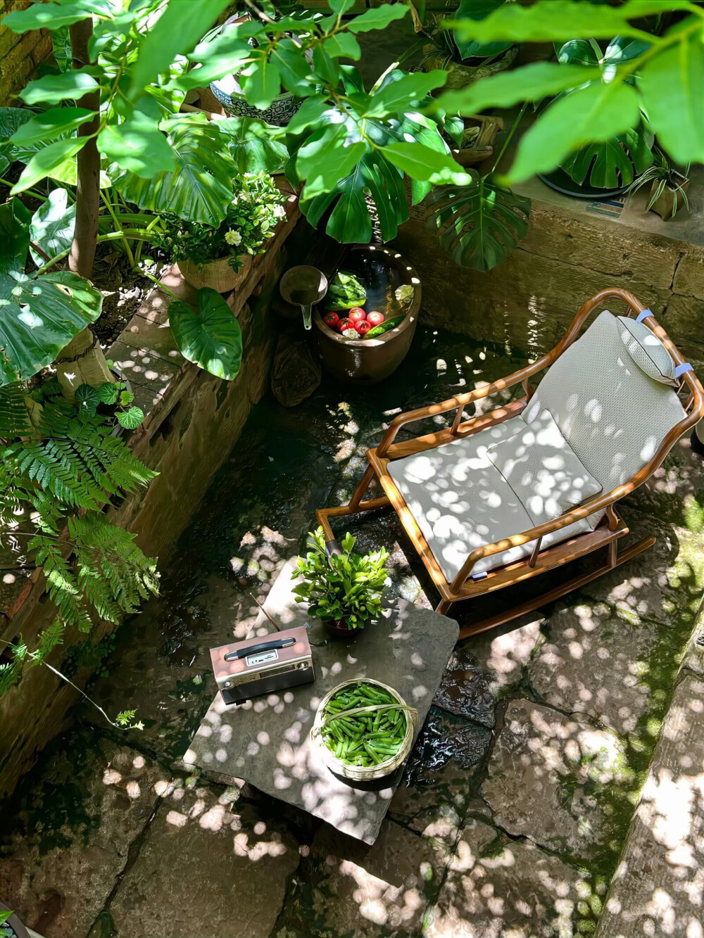 “人在夏天的任务就是过夏天”