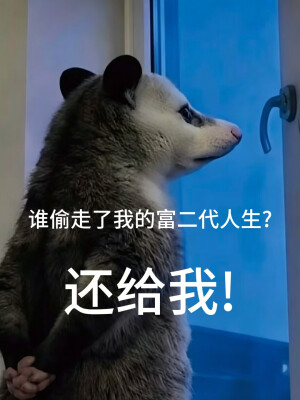 负鼠表情包