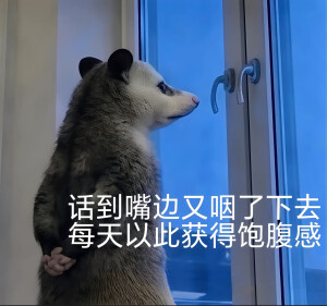 负鼠表情包