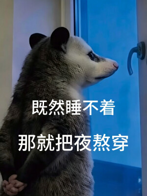 负鼠表情包