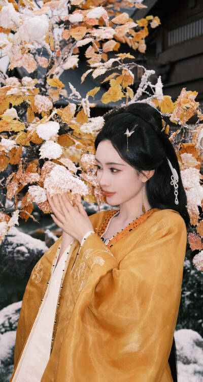 孟子义《百花杀》沈汐和