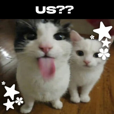 ᆼᆽᆼ