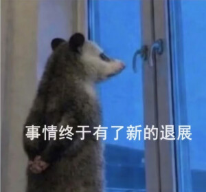 负鼠表情包