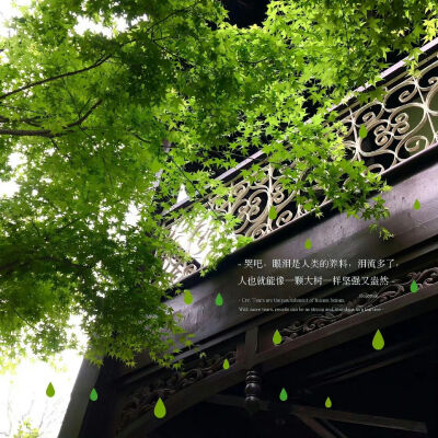 背景图