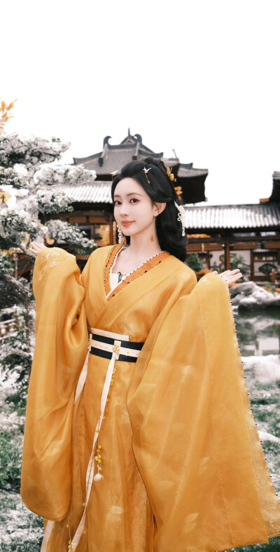 孟子义《百花杀》沈汐和