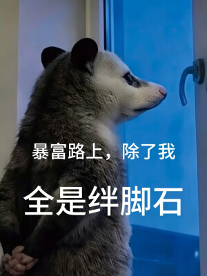 负鼠表情包