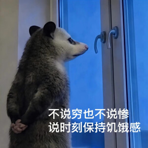 负鼠表情包