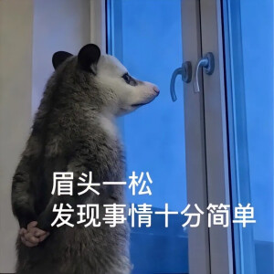 负鼠表情包