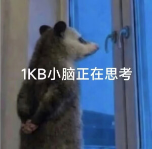 负鼠表情包