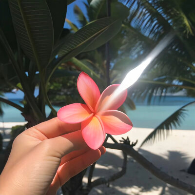 “人在夏天的任务就是过夏天”