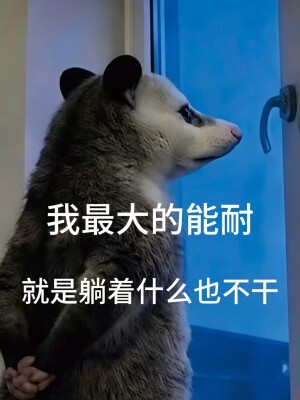 负鼠表情包