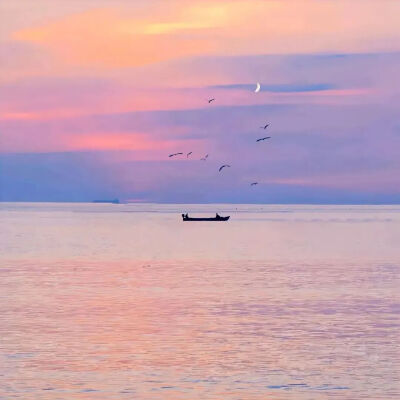 背景图