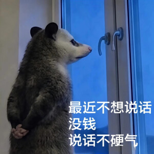 负鼠表情包