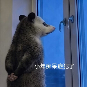 负鼠表情包