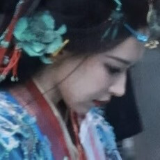 山林的雾
