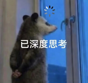 负鼠表情包