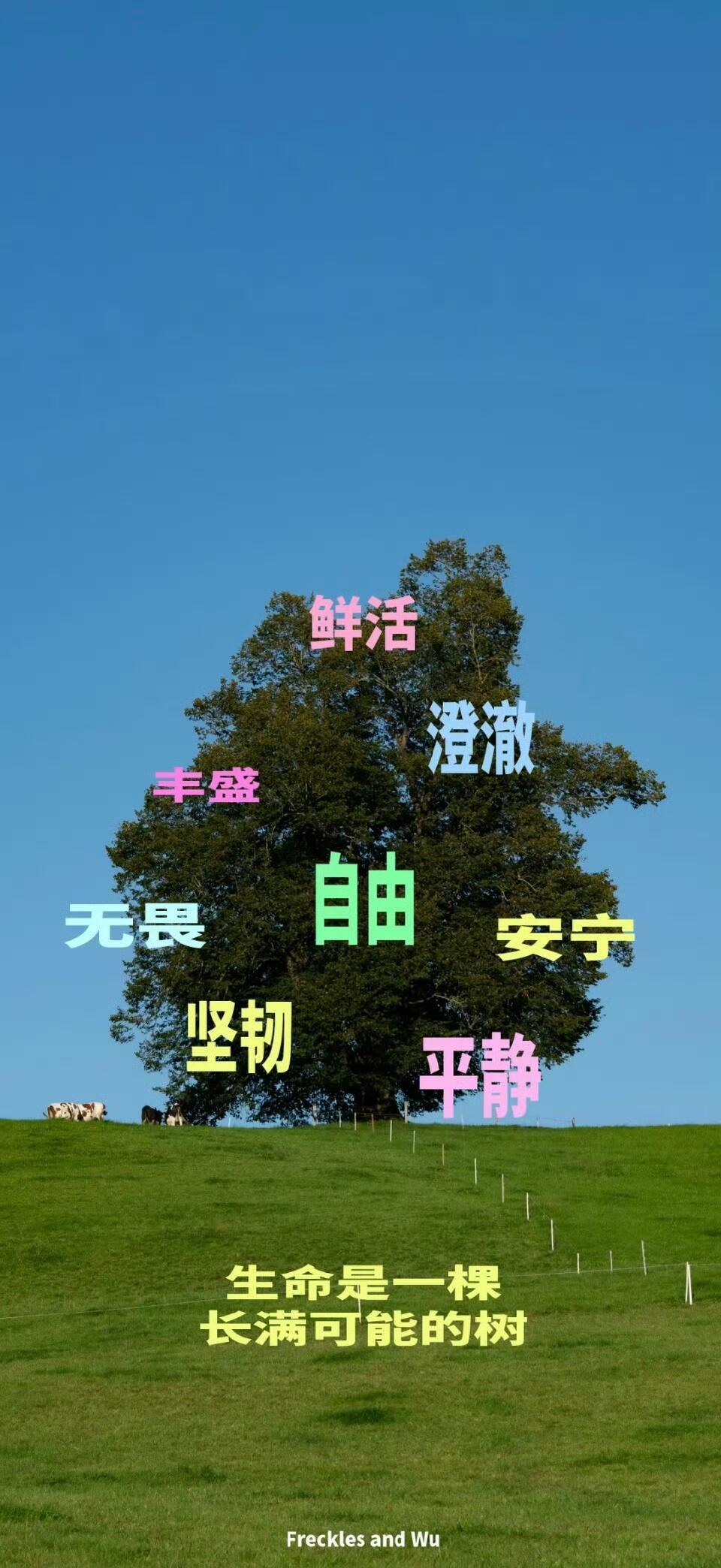壁纸