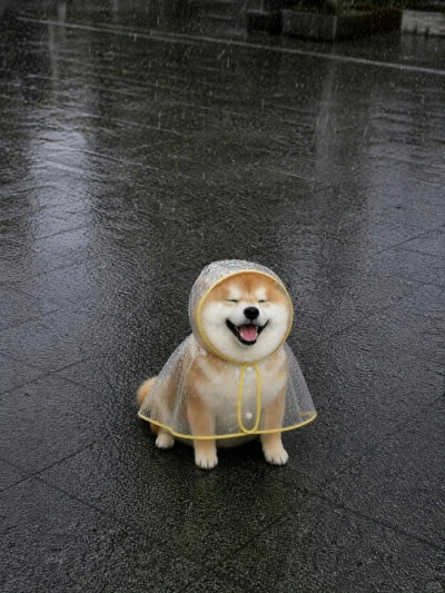 修勾