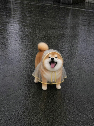 修勾