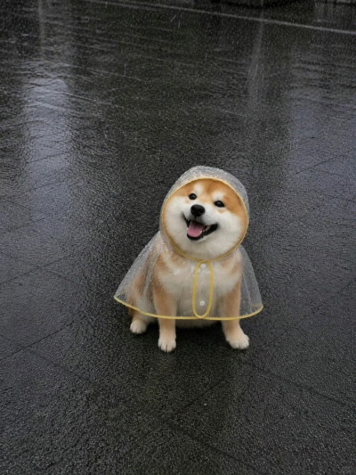 修勾