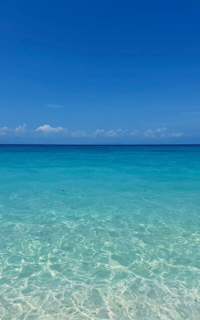 海的背景图 蓝色系背景图