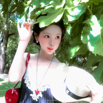 杨超越