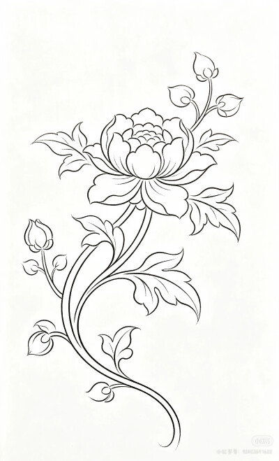 花卉