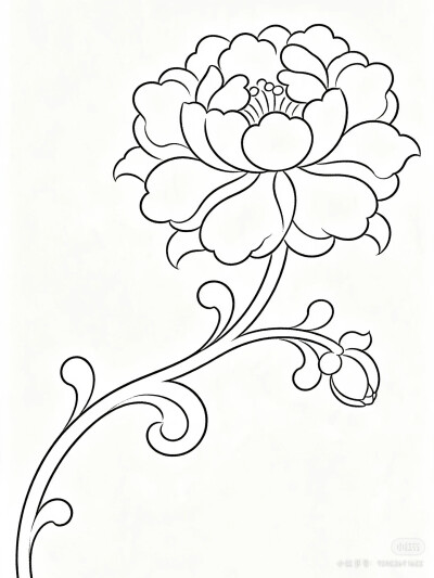 花卉
