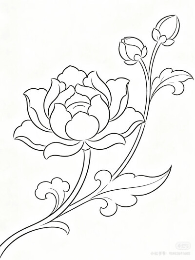 花卉