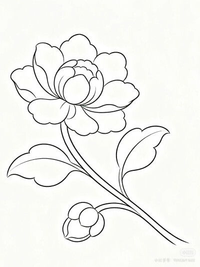 花卉