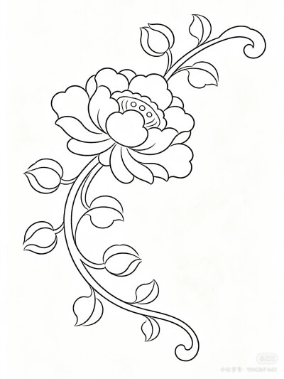 花卉