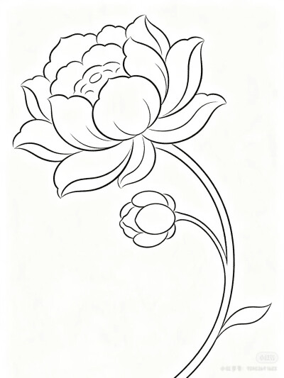 花卉