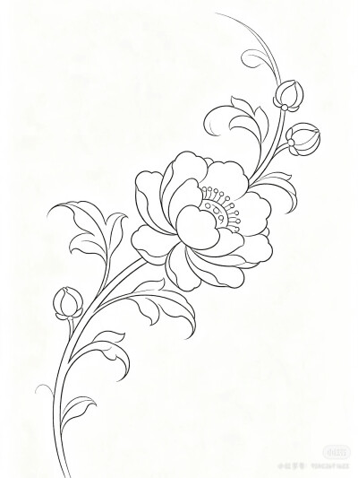 花卉