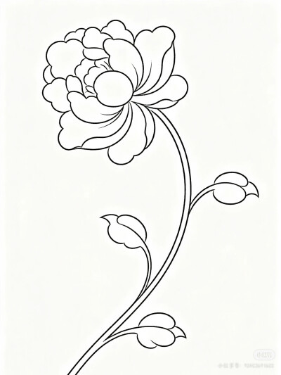 花卉