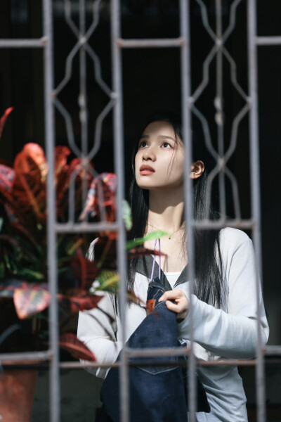 张婧仪