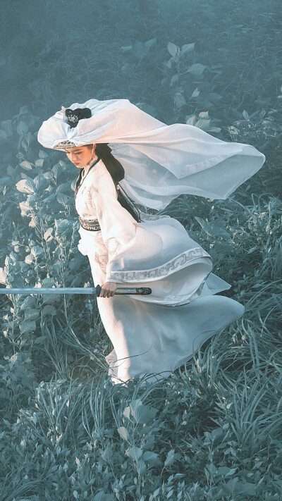 艾米