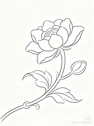 花卉